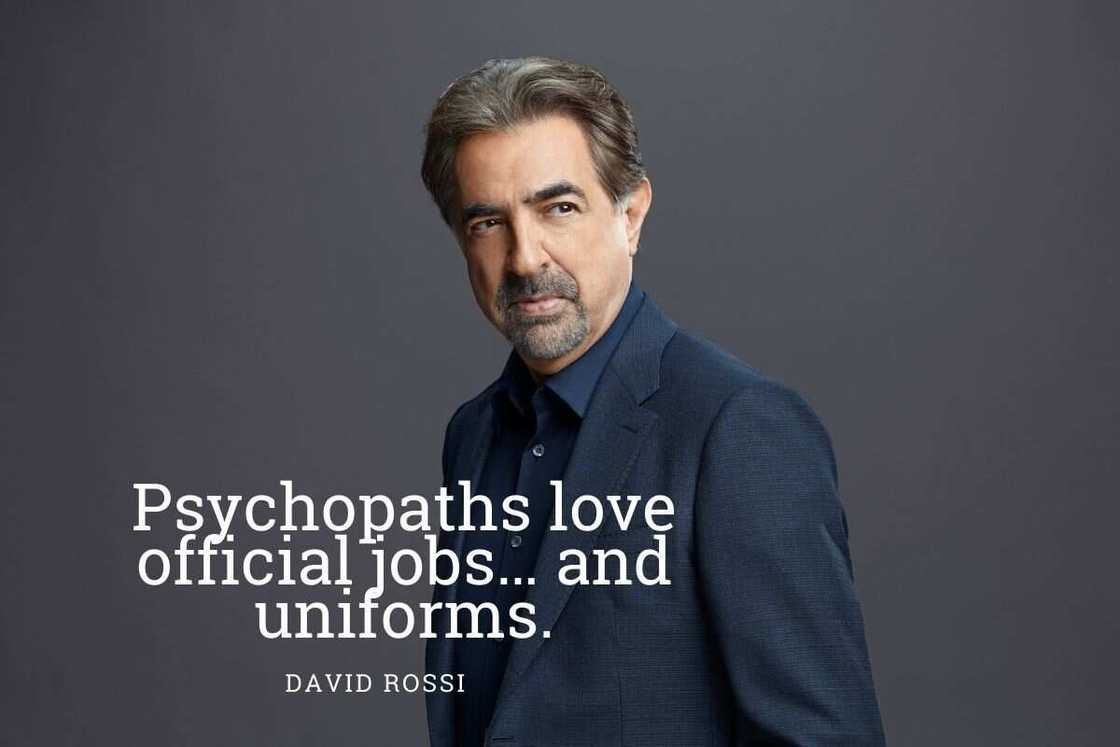 quotes from Criminal Minds quotes from Criminal Minds