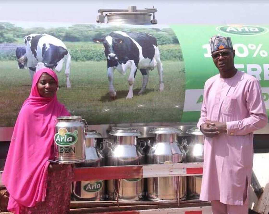 Local Dairy Farmers Excited, as Arla Foods Distributes Milk Cans to Improve Nigerian Milk Quality