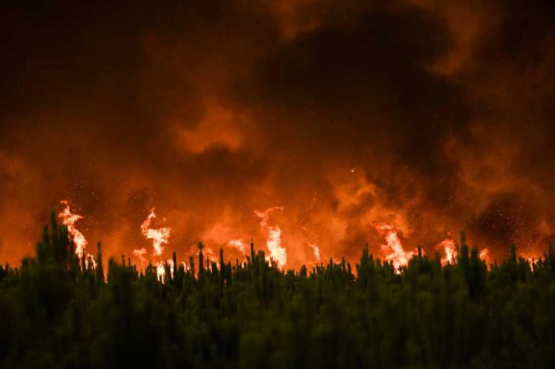 2021 was one of the worst years for forest fires since the turn of the century 2021 was one of the worst years for forest fires since the turn of the century