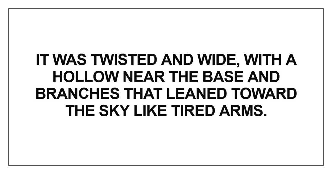 It was twisted and wide