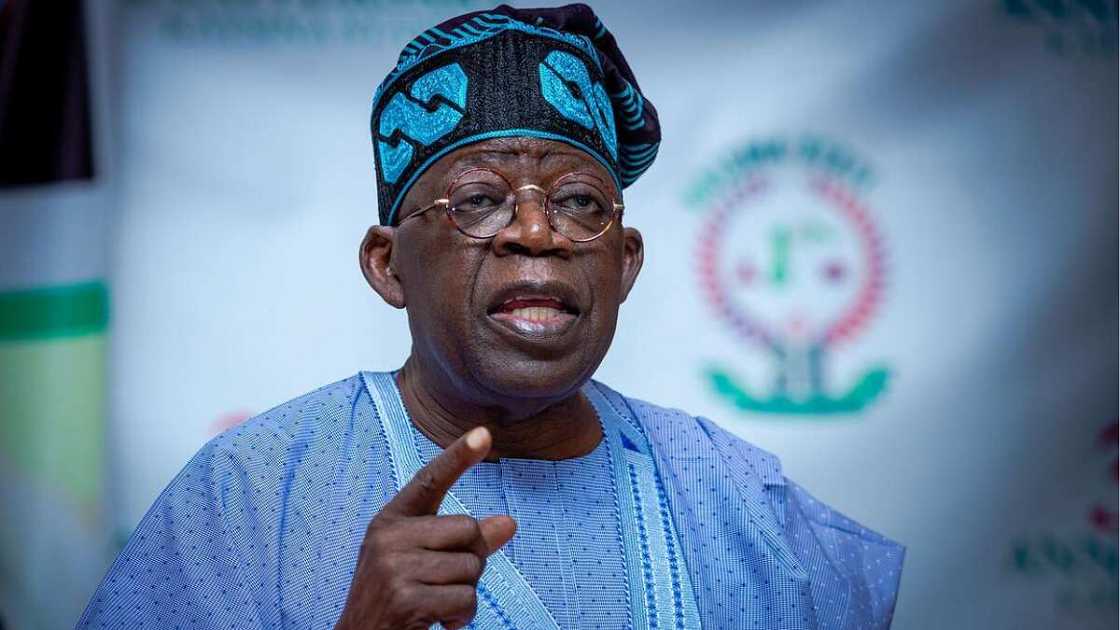 Bola Tinubu