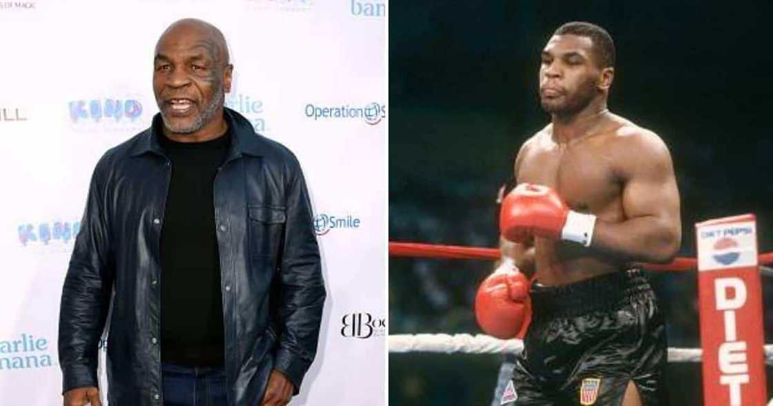 Mike Tyson, Boxer, Legend, Punching, Celebrity