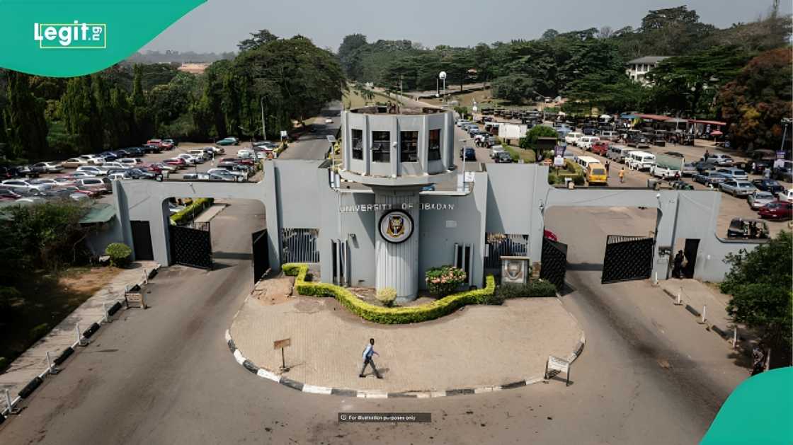 University of Ibadan aspirant appeals for help to register for NECO, posts JAMB result University of Ibadan aspirant appeals for help to register for NECO, posts JAMB result