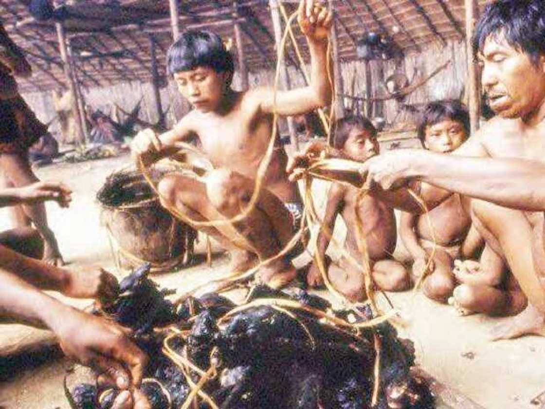 Kabilar yanomami da dangi ke bandar gawar mamaci, su cinye namansa Kabilar yanomami da dangi ke bandar gawar mamaci, su cinye namansa
