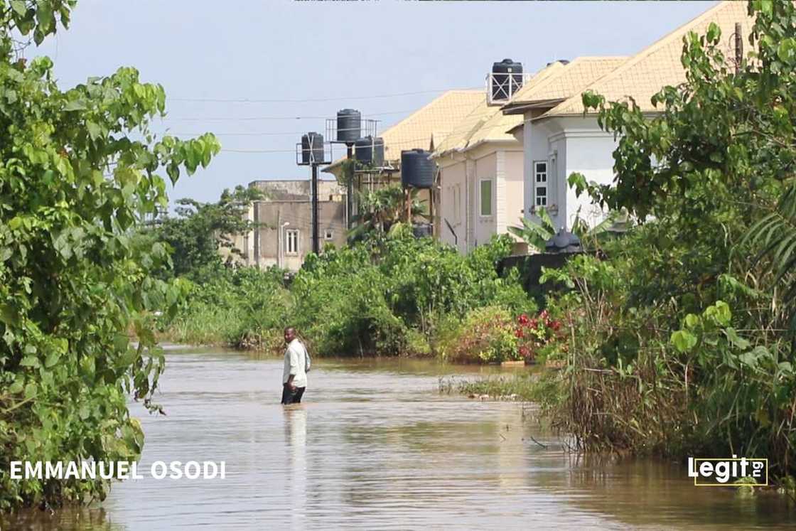 Crocodiles, wild animals invade Ogun community Crocodiles, wild animals invade Ogun community