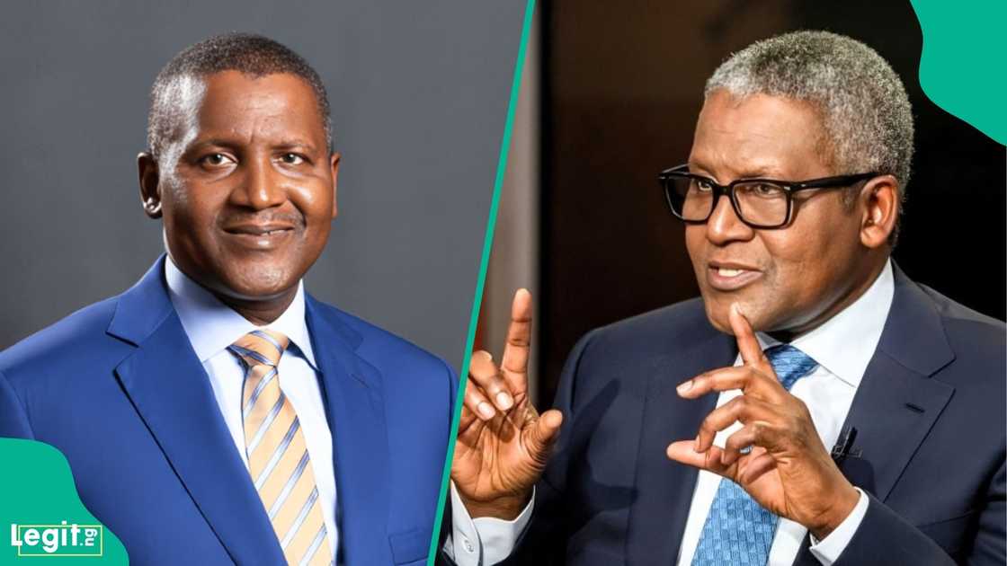 Aliko Dangote speaks about his grandson’s career plans and decision not to work with him Aliko Dangote speaks about his grandson’s career plans and decision not to work with him