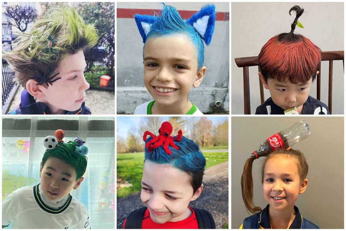 Wacky hair day ideas for boys