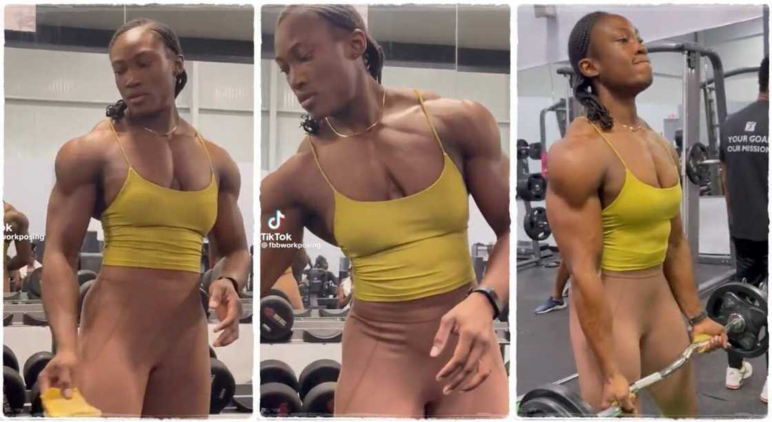 Photos of a lady training at the gym. Photos of a lady training at the gym.