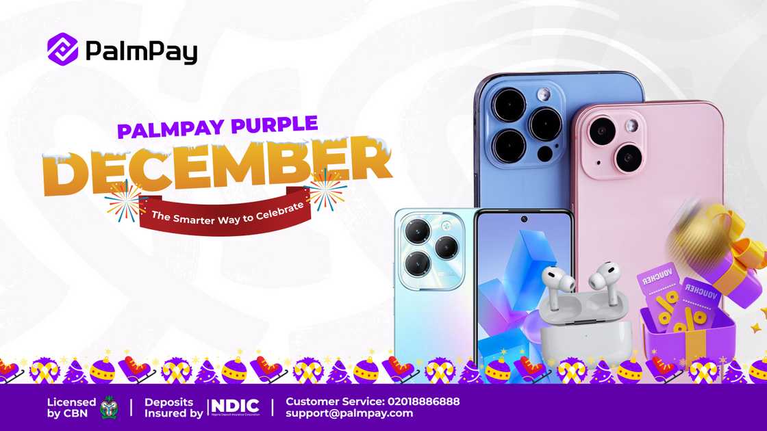 Users share their festive savings journey using PalmPay during Purple December 2025.