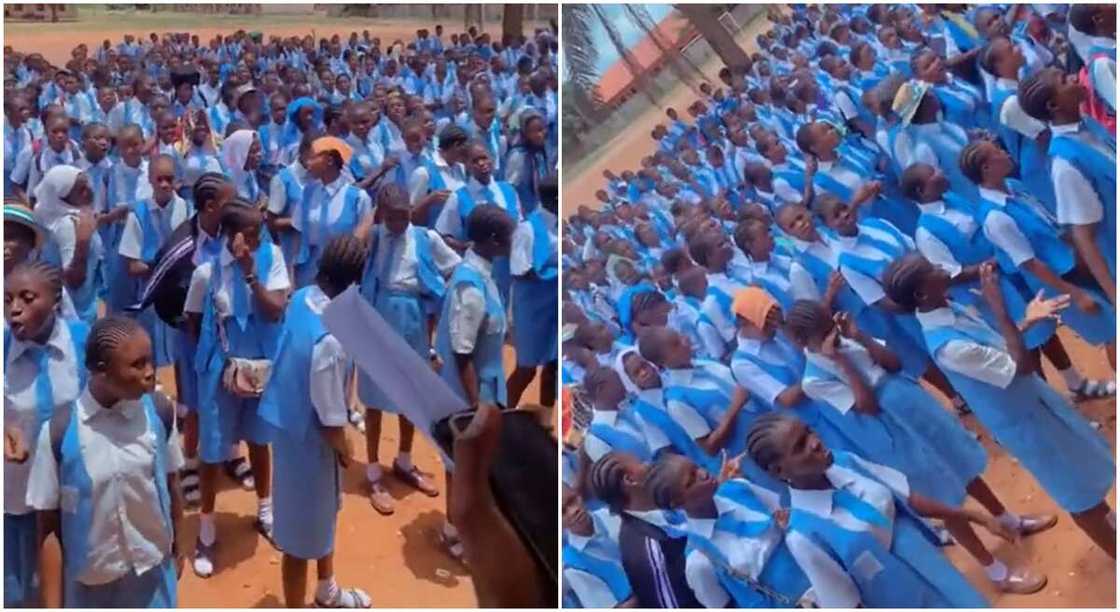 Photos of a students posing for a dance.