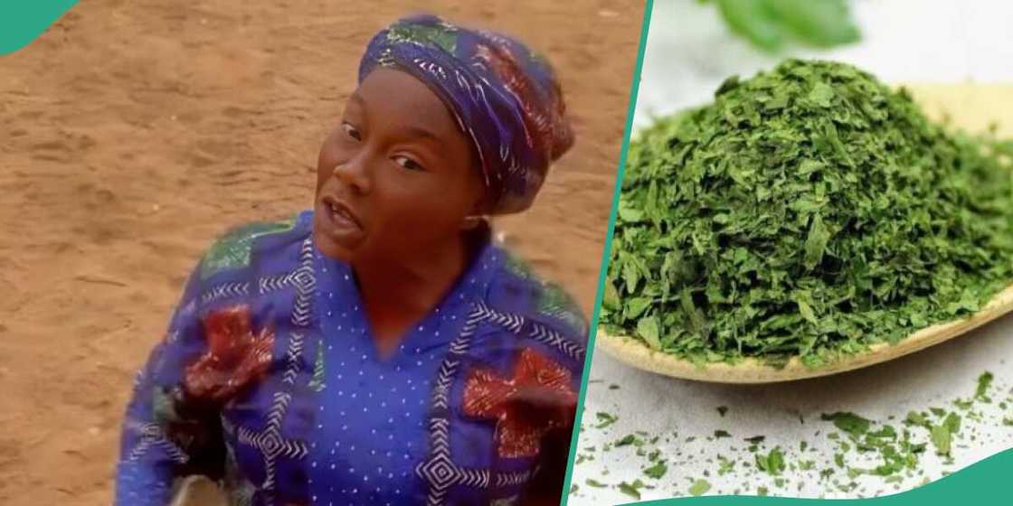 Nigerian lady who sells herb speaks impeccable English Nigerian lady who sells herb speaks impeccable English