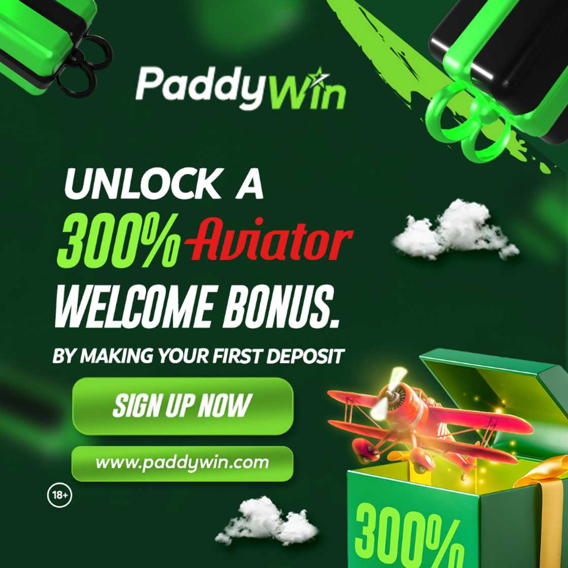 Like Play, Like Play: Win Big with PaddyWin Aviator Game and Enjoy Instant Cashouts