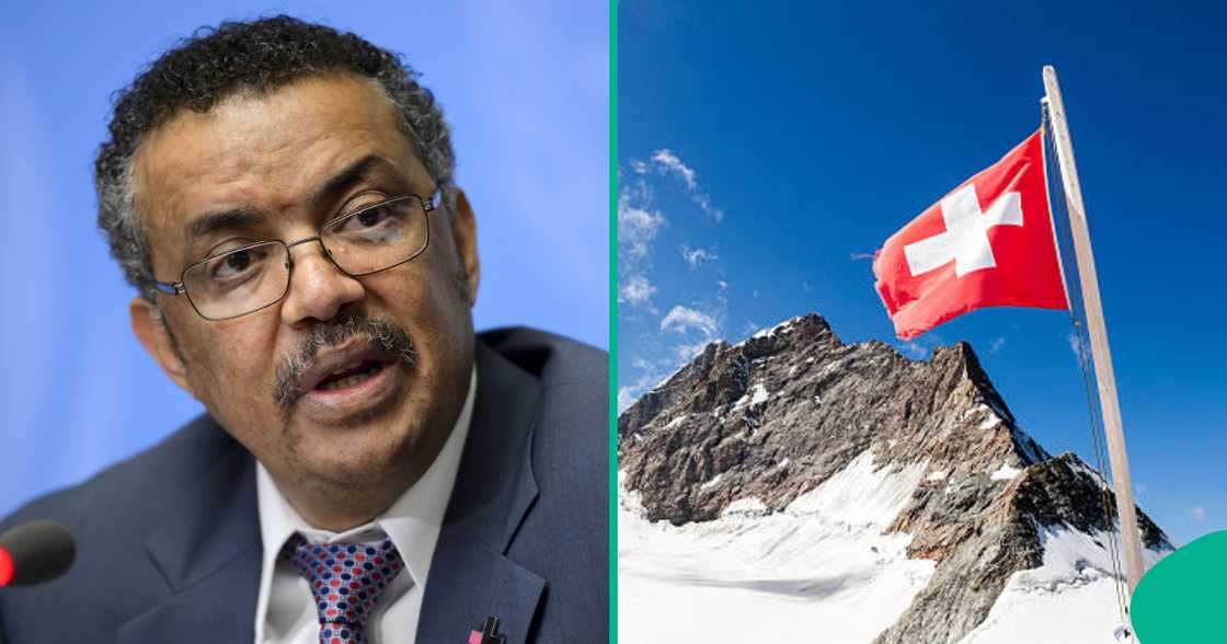 African citizens eligible for funded WHO internship in Switzerland. African citizens eligible for funded WHO internship in Switzerland.