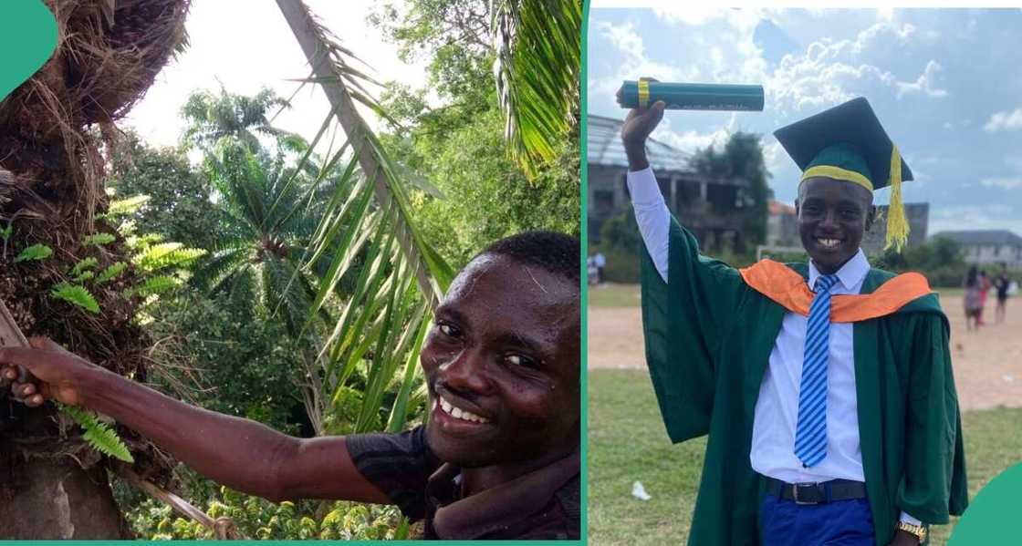 Samson Chibuzo Ugwu, Michael Okpara University, Nigerian man, palm tree climbing