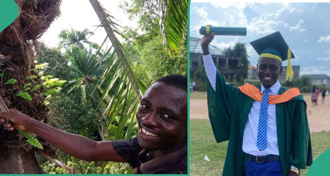 Samson Chibuzo Ugwu, Michael Okpara University, Nigerian man, palm tree climbing Samson Chibuzo Ugwu, Michael Okpara University, Nigerian man, palm tree climbing