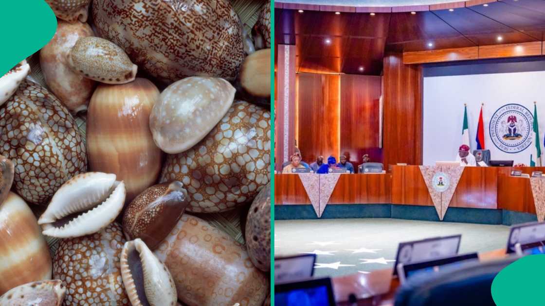 President Bola Tinubu-led government prohibits several items in Nigeria, including air pistols, airmail photographic printing paper, all counterfeit/pirated materials or articles and cowries.