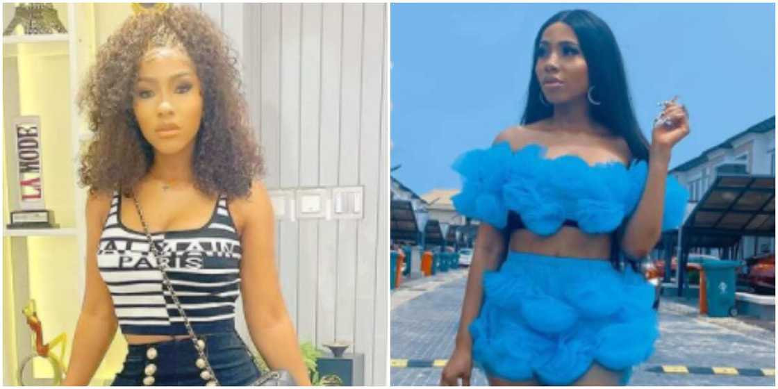 BBNaija's Mercy marvels at the abundance of quotes online, says there is one to justify every stupidity BBNaija's Mercy marvels at the abundance of quotes online, says there is one to justify every stupidity