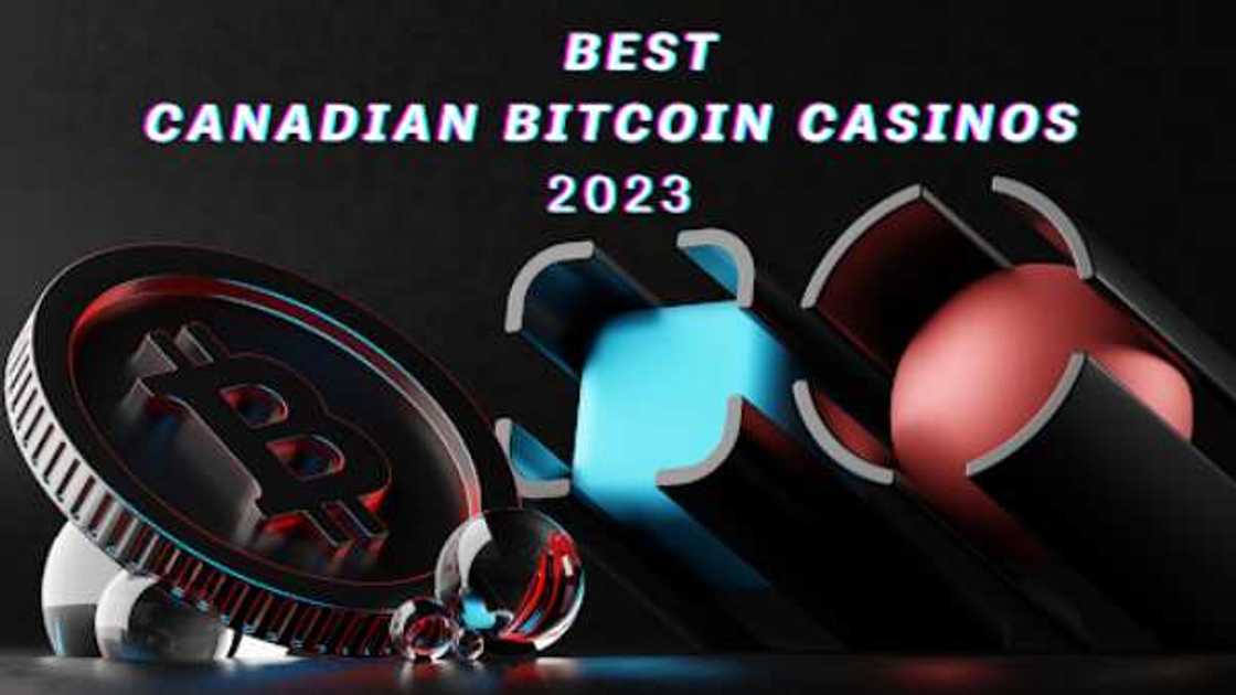 Best Canadian Bitcoin Casinos You'll Love: Great Perks & Amazing Games