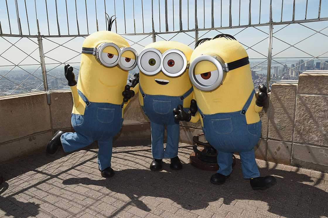 The Minions Kevin, Bob and Stuart. The Minions Kevin, Bob and Stuart.