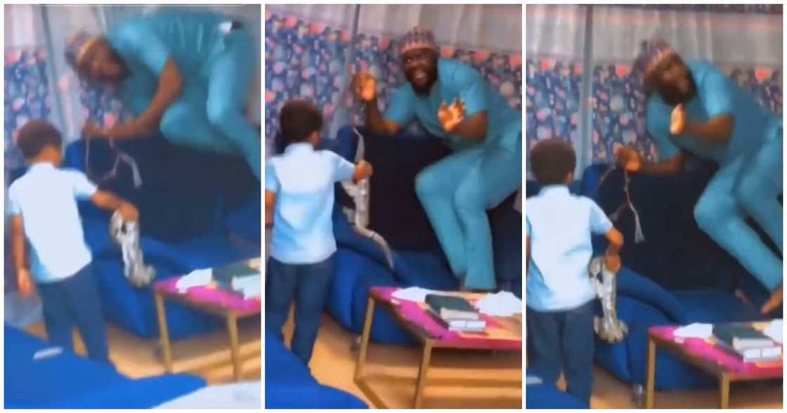 Snake, man, little son Snake, man, little son