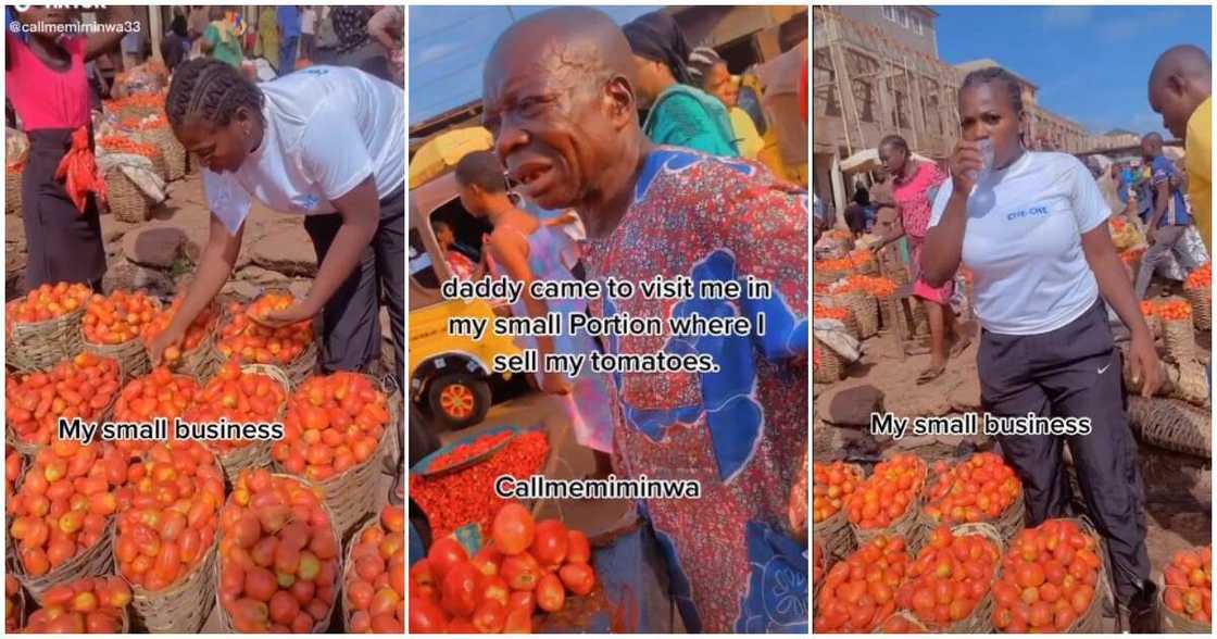 lady who sells tomatoes, dad vists daughter who sels tomatoes, lovely family videos, dad and daughter videos, Enugu, Abakpa lady who sells tomatoes, dad vists daughter who sels tomatoes, lovely family videos, dad and daughter videos, Enugu, Abakpa