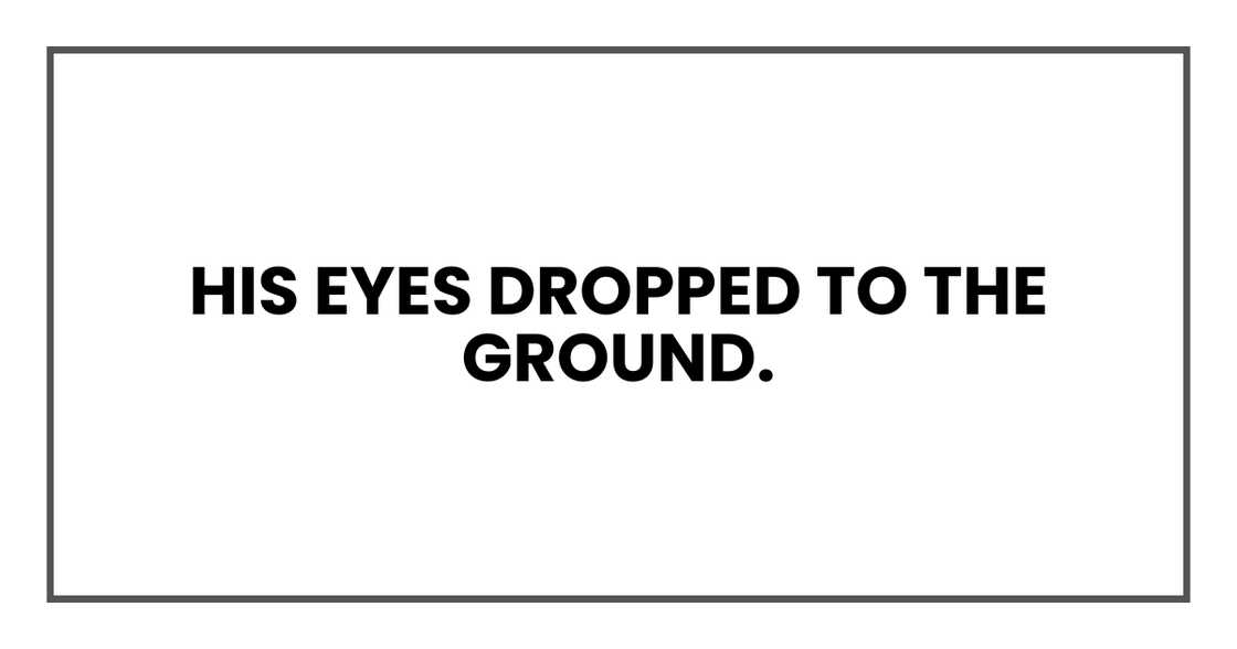 His eyes dropped to the ground.