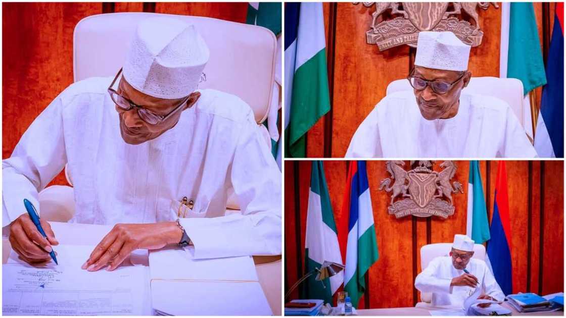 COVID-19: Photos Show Buhari Working from Home as He Observes Isolation after UK Trip