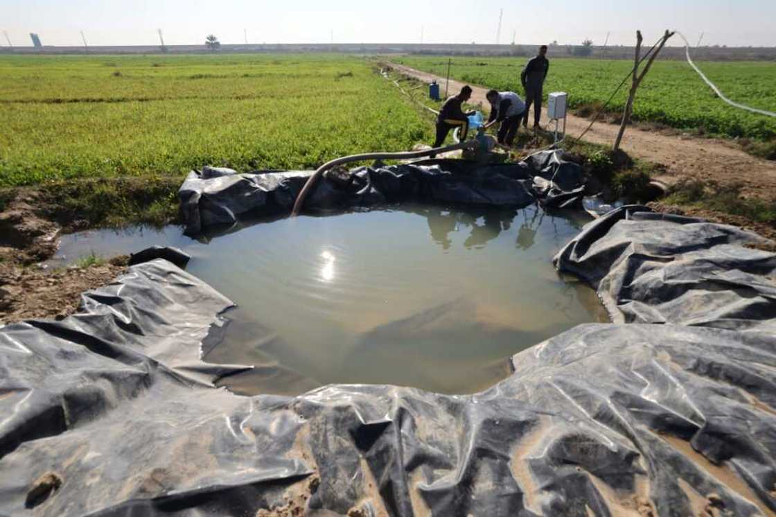 Iraq's agriculture ministry says farmers struggled at first to switch to moden irrigation systems Iraq's agriculture ministry says farmers struggled at first to switch to moden irrigation systems