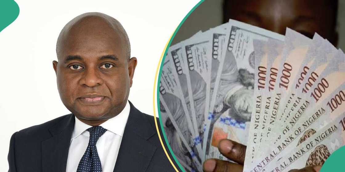 Former CBN governor speaks on naira Former CBN governor speaks on naira