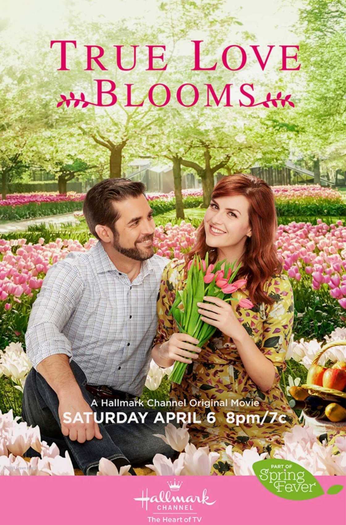 Sara Rue movies Sara Rue movies