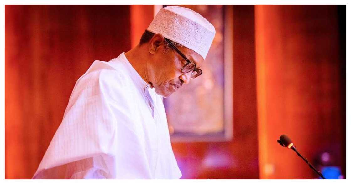 Buhari/Fresh appointments/Garzali Abubakar/National Agricultural Development Fund Buhari/Fresh appointments/Garzali Abubakar/National Agricultural Development Fund