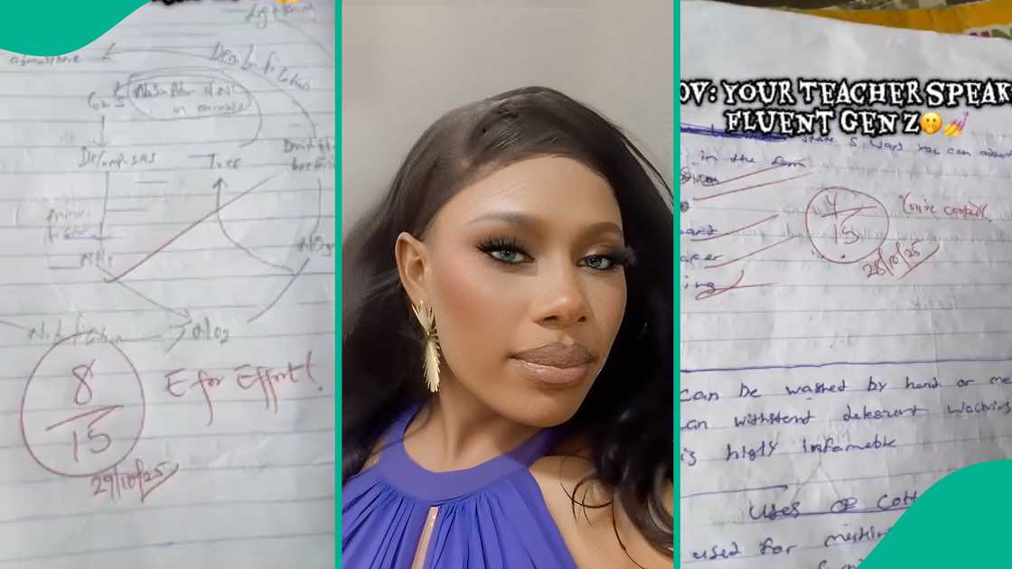 Gen Z teacher's remarks on her students' notebooks triggers reactions Gen Z teacher's remarks on her students' notebooks triggers reactions
