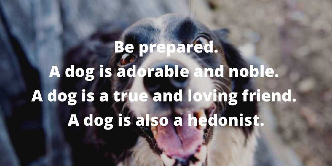 Poet Mary Oliver quotes Poet Mary Oliver quotes