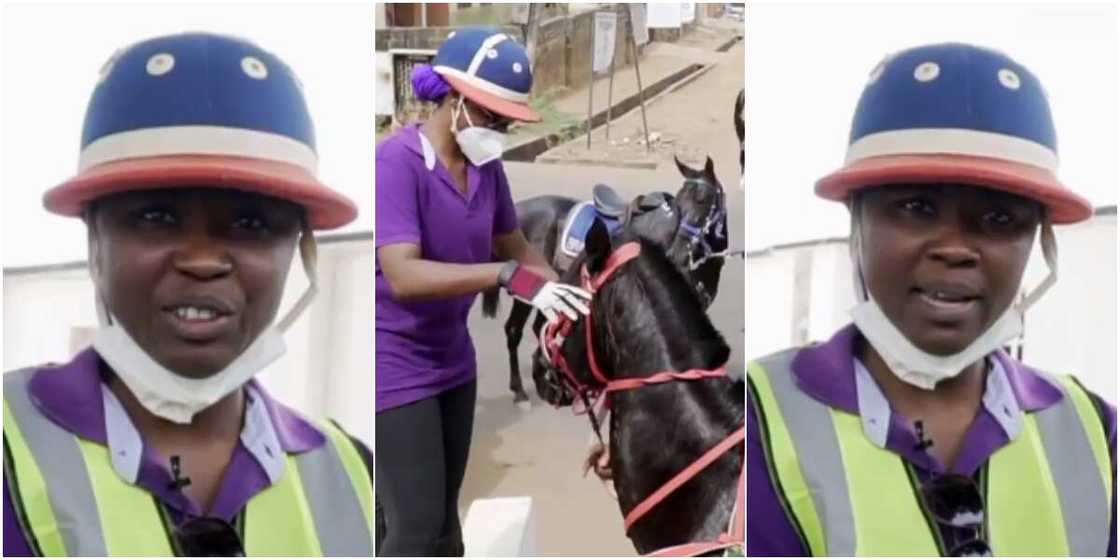 Meet Jemila Bio Ibrahim who rides horse for fun; advises women to embrace horse-riding Meet Jemila Bio Ibrahim who rides horse for fun; advises women to embrace horse-riding