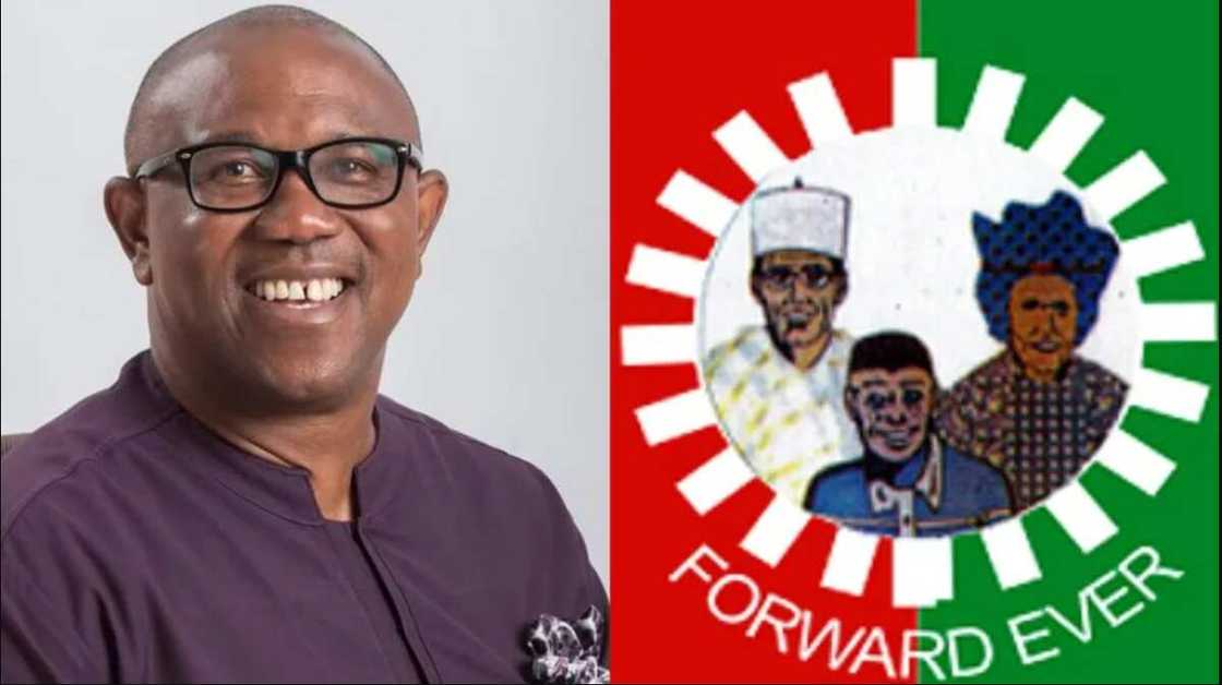 Labour Party/Enugu/2023 Election/Southeast Labour Party/Enugu/2023 Election/Southeast