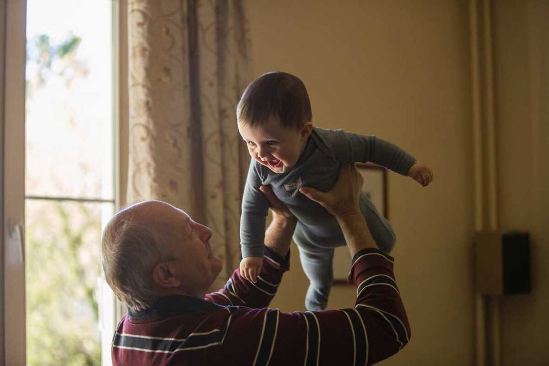 Petit-fils Petit-fils
