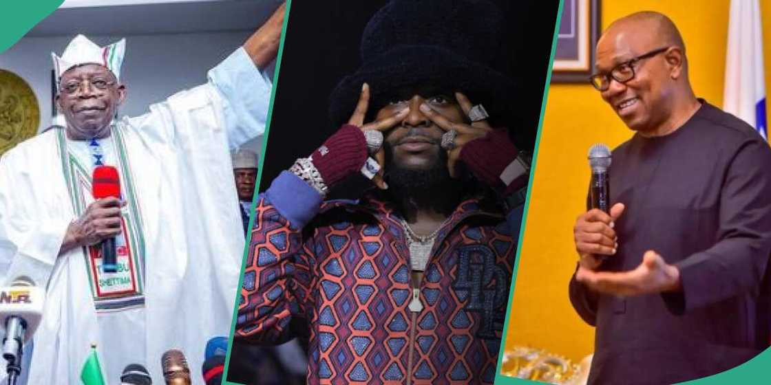 Photos of Tinubu, Davido and Peter Obi Photos of Tinubu, Davido and Peter Obi