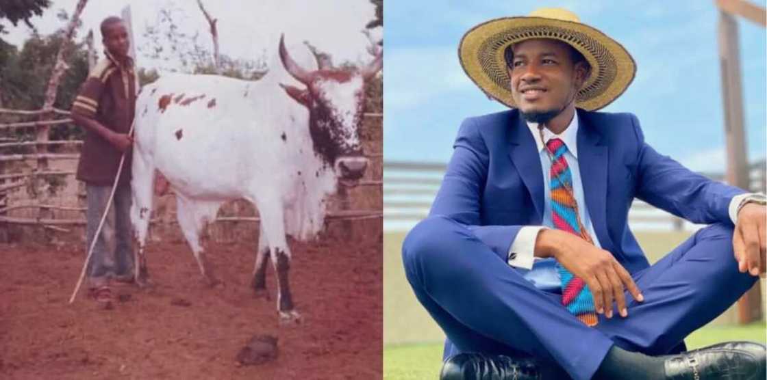 Yadda na bar kiwon shanu na zama babban dan jarida - Umaru Sanda ya wallafa labarin shi mai ban sha'awa Yadda na bar kiwon shanu na zama babban dan jarida - Umaru Sanda ya wallafa labarin shi mai ban sha'awa