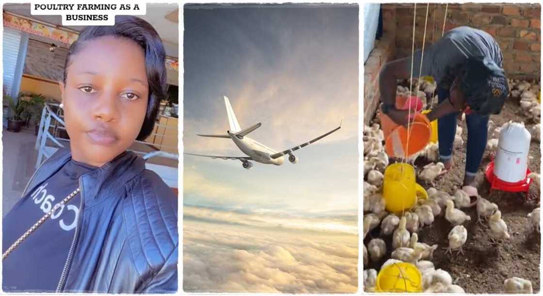 Lady who returned from Dubai, UAE to establish a poultry farm in Uganda. Lady who returned from Dubai, UAE to establish a poultry farm in Uganda.