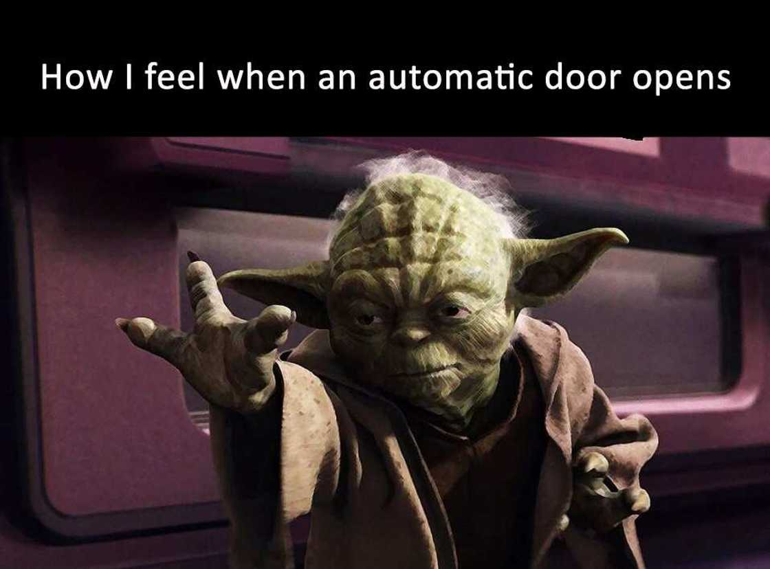 funny star wars funny star wars
