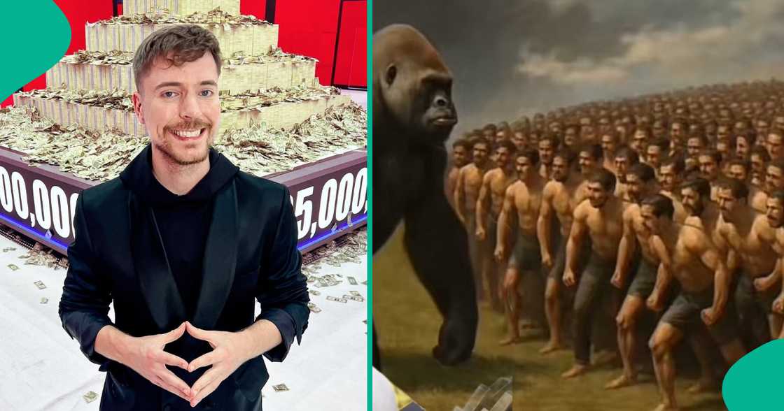 MrBeast sparks buzz with gorilla vs 100 people challenge online MrBeast sparks buzz with gorilla vs 100 people challenge online