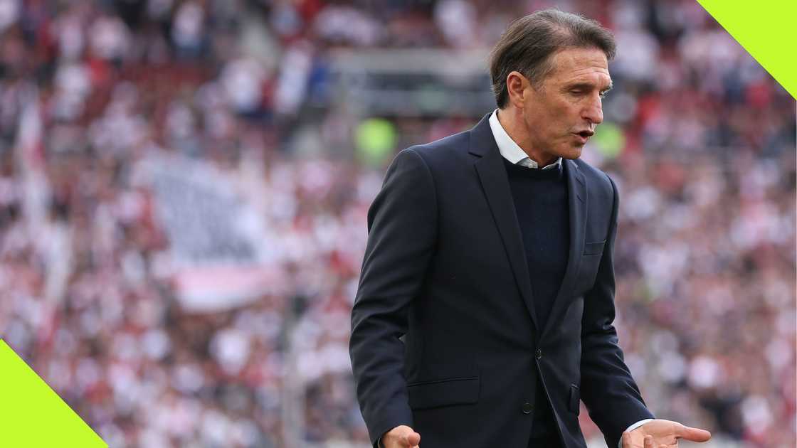 Bruno Labbadia has drawn up a shortlist of assistant coaches Bruno Labbadia has drawn up a shortlist of assistant coaches