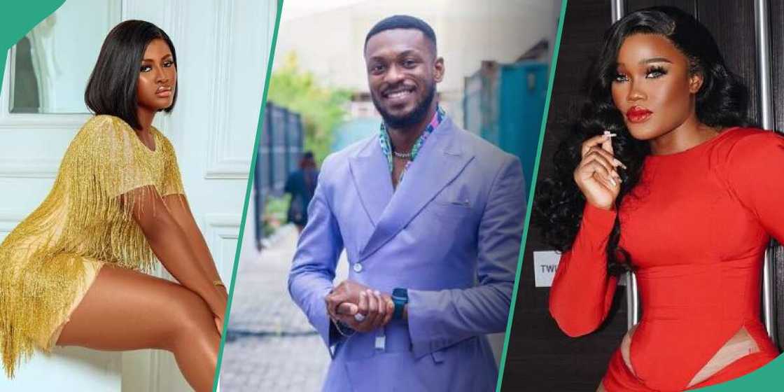 BBNaija All Stars housemates BBNaija All Stars housemates