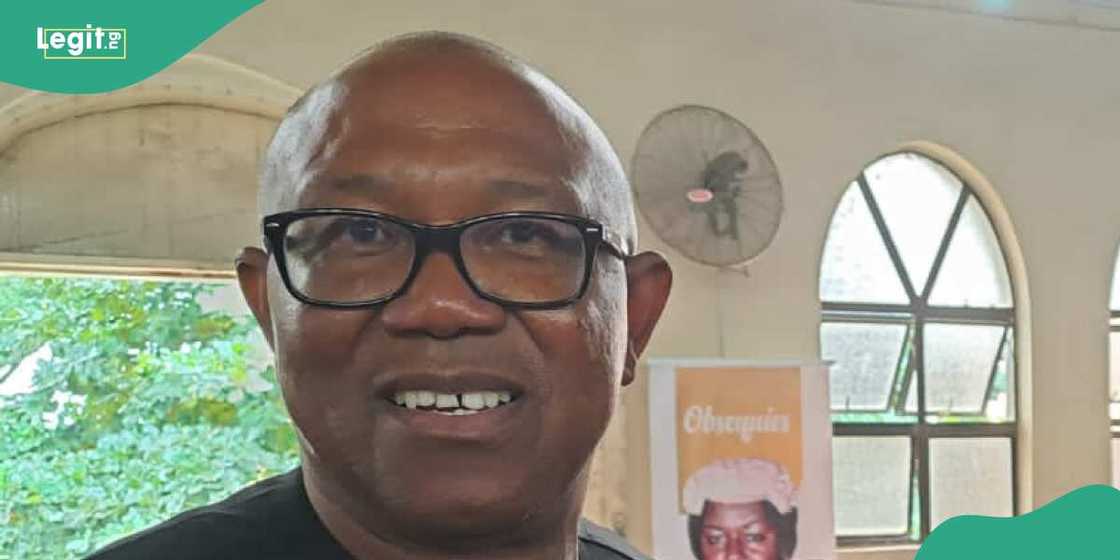 Peter Obi/Peter Obi news/Peter Obi news today/Supreme Court