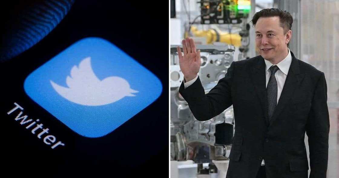 Business News, Twitter shares, Elon Musk announces 9% stake, in social media platform Business News, Twitter shares, Elon Musk announces 9% stake, in social media platform
