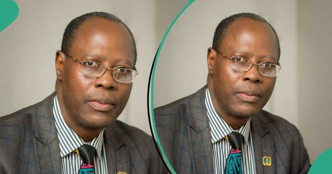 NICA reveals the impact of Tinubu's credit scheme NICA reveals the impact of Tinubu's credit scheme