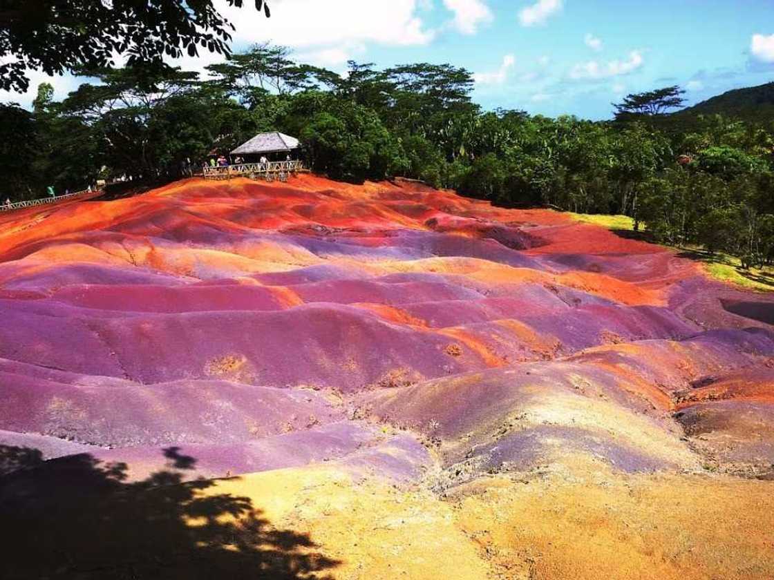 The chameral plain, seven coloured Earth