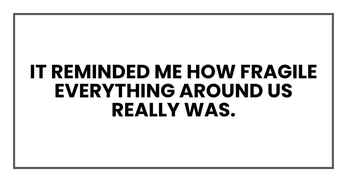 IT REMINDED ME IT REMINDED ME