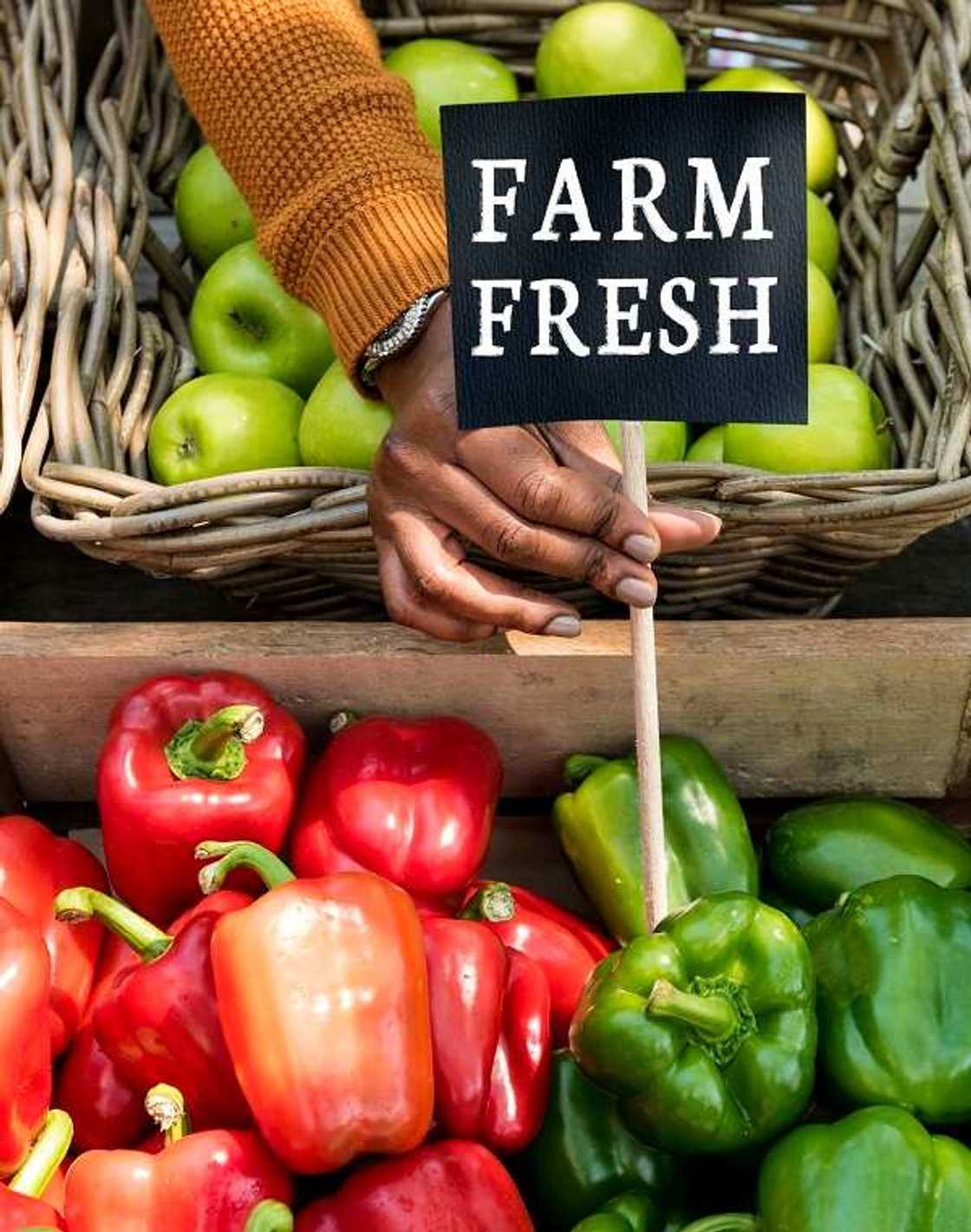 Investment in farming Investment in farming
