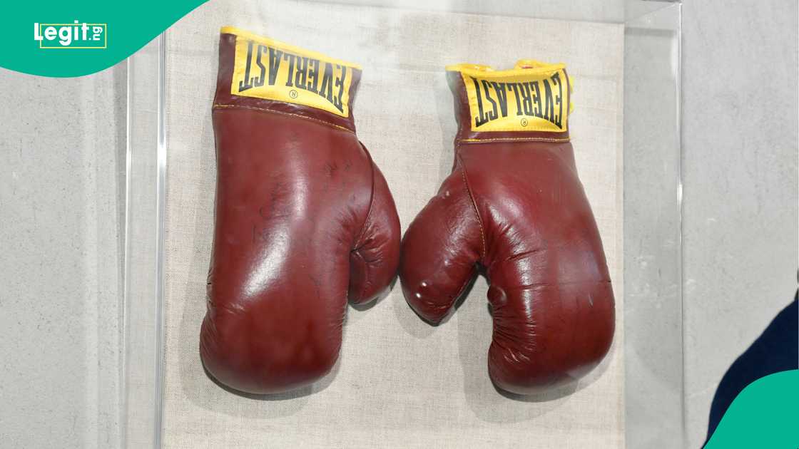 Boxing gloves. Boxing gloves.